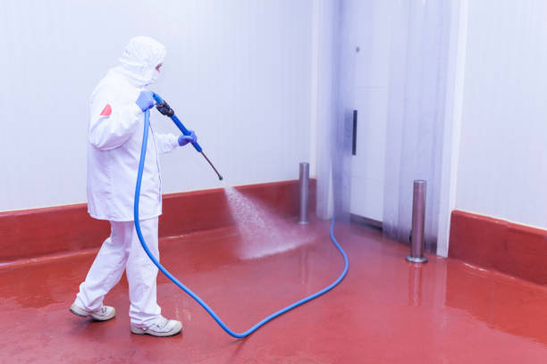 Best Driveway Pressure Washing  in Saugatuck, CT